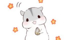 仓鼠漫画图片,萌宠日常趣事大盘点